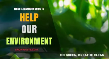 Manitoba's Green Initiatives: Protecting Our Environment for a Sustainable Future