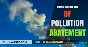 Understanding the Marginal Cost of Pollution Abatement
