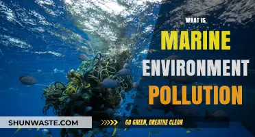 Marine Pollution: Understanding Our Impact
