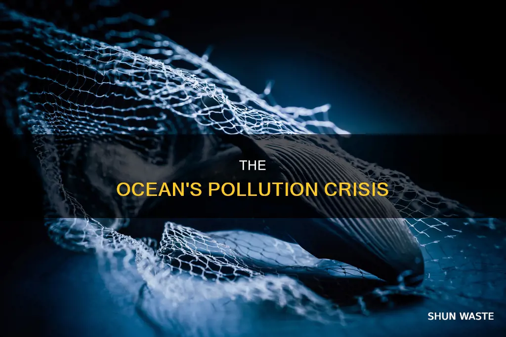 what is marine life pollution