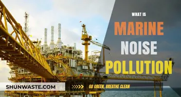 Understanding Marine Noise Pollution: A Growing Concern