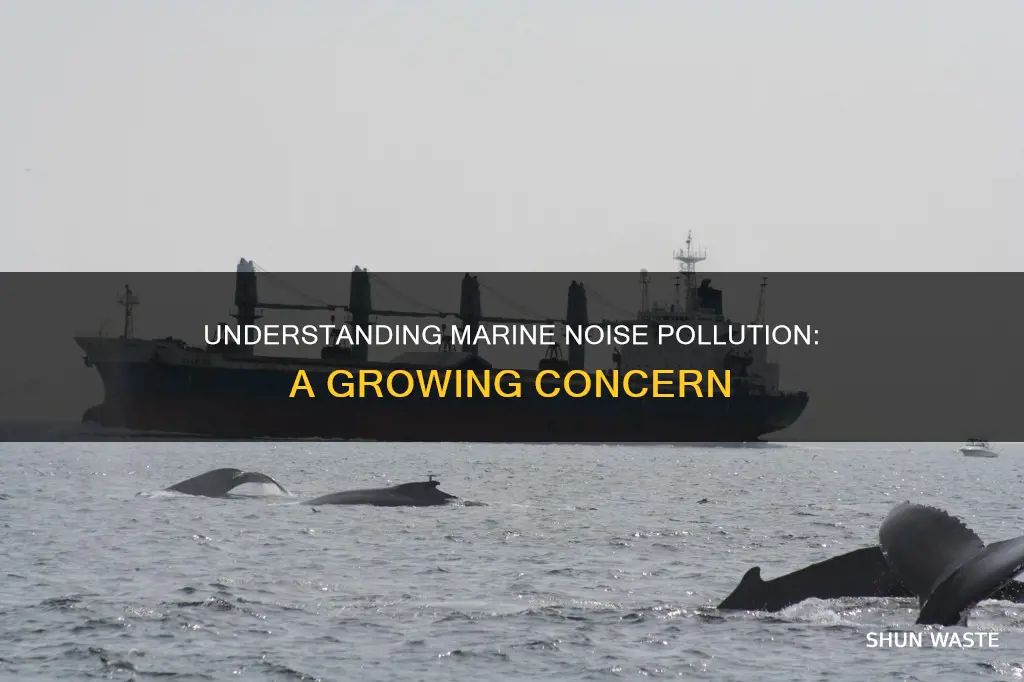 what is marine noise pollution