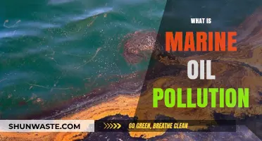 Understanding Marine Oil Pollution: Causes and Impacts