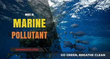 Understanding Marine Pollutants: Impacting Ocean Life