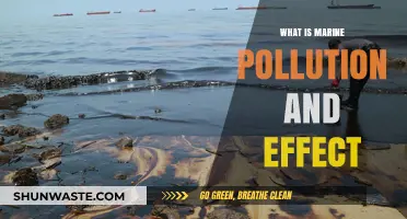 Marine Pollution: Understanding Its Devastating Impact
