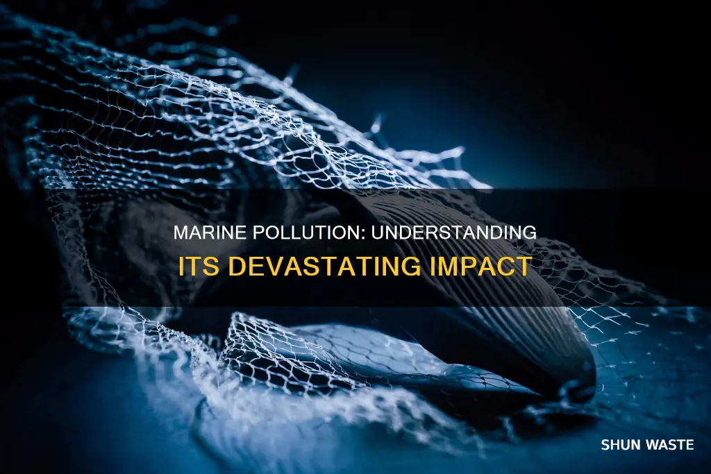 what is marine pollution and effect