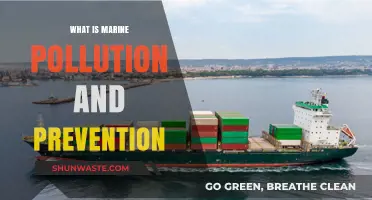 Marine Pollution: Understanding and Preventing the Crisis