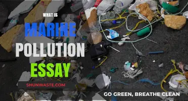 Marine Pollution: Understanding the Crisis
