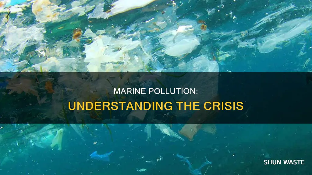 what is marine pollution essay