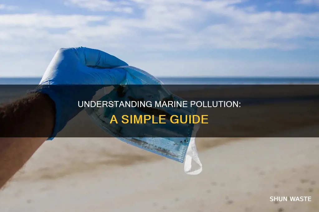 what is marine pollution in simple words