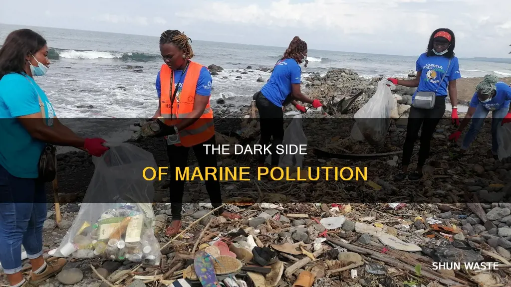 what is marine pollution