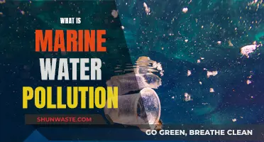 Unveiling the Hidden Dangers: Understanding Marine Water Pollution