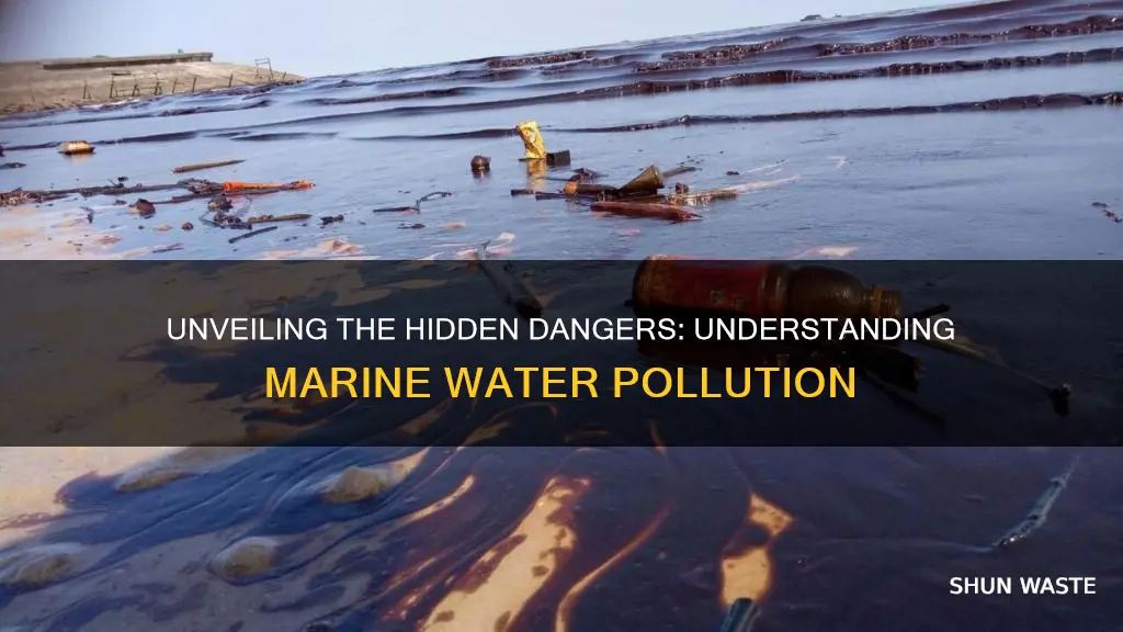 what is marine water pollution