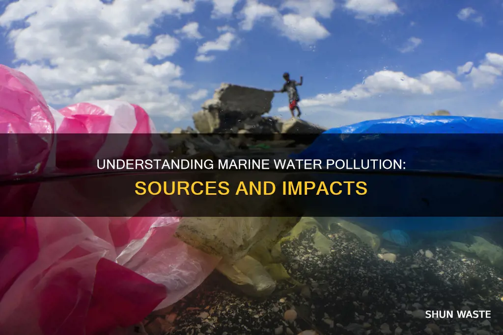 what is marine water pollution
