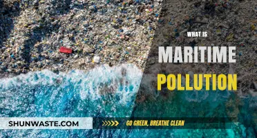 Understanding Maritime Pollution: A Global Crisis