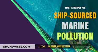 MARPOL Compliance: Reducing Ship Pollution's Impact