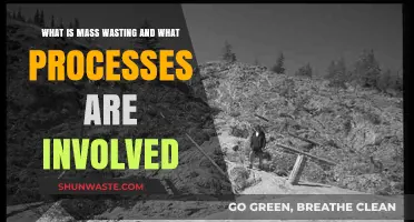 Understanding Mass Wasting: Processes, Causes, and Effects Explained