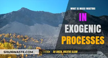 Understanding Mass Wasting: Key Exogenic Process Shaping Earth's Surface