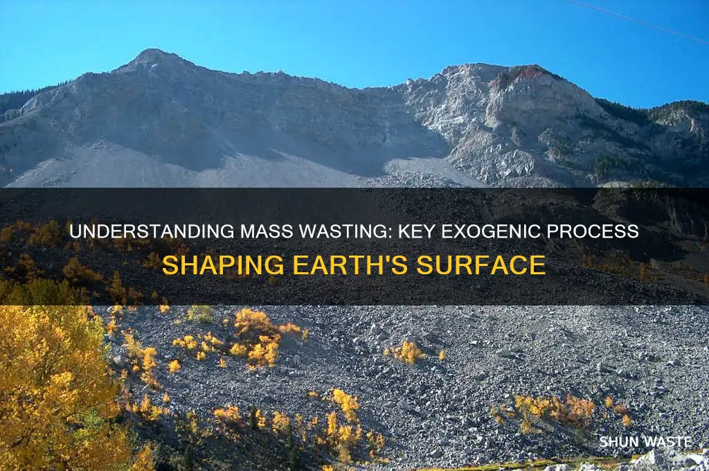 what is mass wasting in exogenic processes