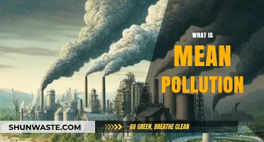 Understanding Pollution: Meanings and Impacts