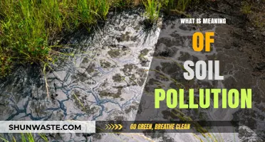Soil Pollution: Understanding the Degradation of Earth's Skin