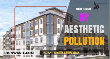 Aesthetic Pollution: The Ugly Side of Design