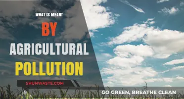 Agricultural Pollution: Harming Nature's Delicate Balance