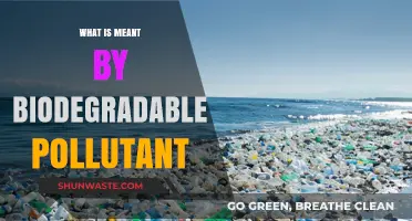 Understanding Biodegradable Pollutants: Nature's Friend or Foe?