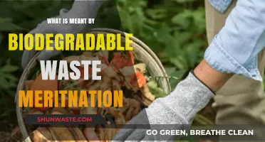 Understanding Biodegradable Waste: Definition, Importance, and Environmental Benefits