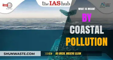 The Impact of Coastal Pollution on Our Oceans