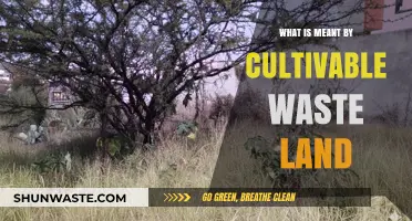 Understanding Cultivable Waste Land: Definition, Potential, and Reclamation Strategies