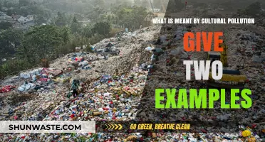 Understanding Cultural Pollution: Two Real-World Examples