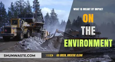 Understanding Environmental Impact: Causes, Effects, and Sustainable Solutions