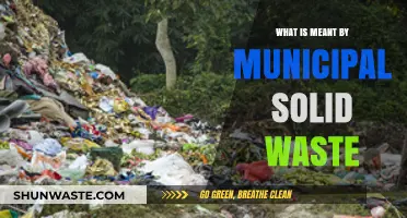 Understanding Municipal Solid Waste: Definition, Sources, and Management Basics