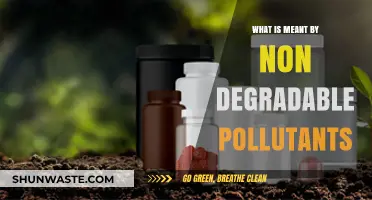 Non-Degradable Pollutants: Persistent Environmental Threats