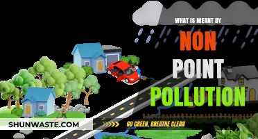 Understanding Non-Point Pollution: A Complex Environmental Issue
