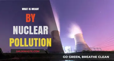 Understanding Nuclear Pollution: Its Causes and Effects