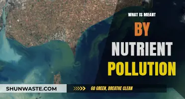 Nutrient Pollution: What's the Problem?