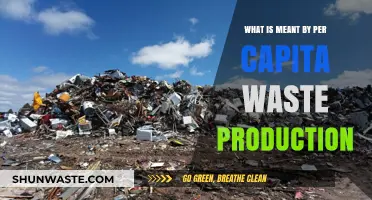 Understanding Per Capita Waste Production: Definition, Impact, and Solutions