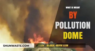The Pollution Dome: A City's Air Trap