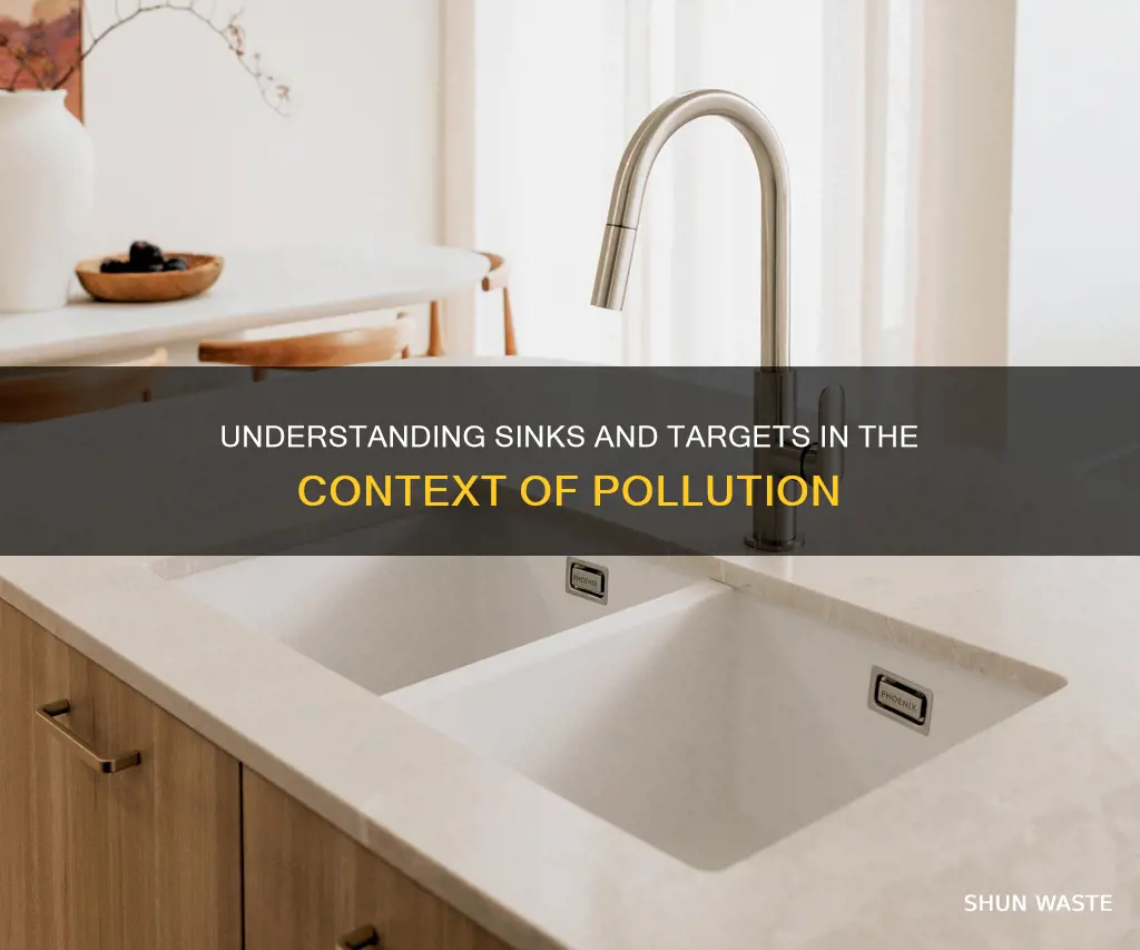 what is meant by sink and target wrt pollution