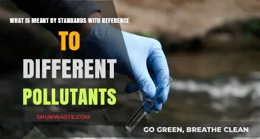 Understanding Pollutant Standards and Their Relevance