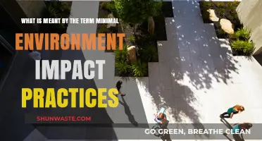 Understanding Minimal Environment Impact Practices for Sustainable Living
