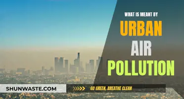 Air Pollution in Cities: Understanding the Urban Smog