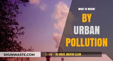 Urban Pollution: Understanding the Toxic Air We Breathe