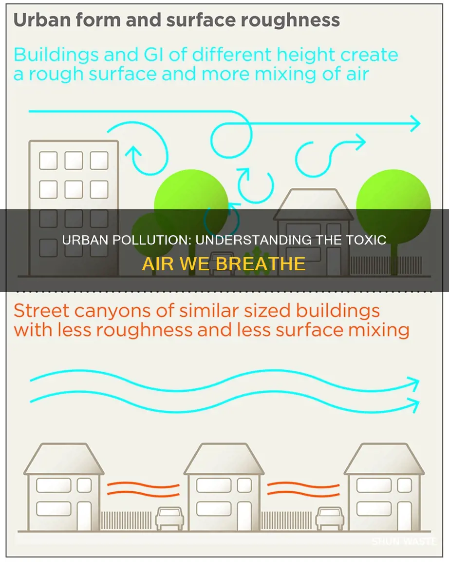 what is meant by urban pollution