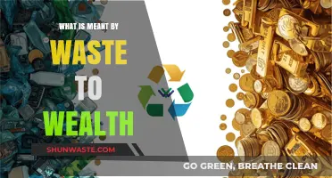 Transforming Trash into Treasure: Understanding Waste to Wealth Concepts