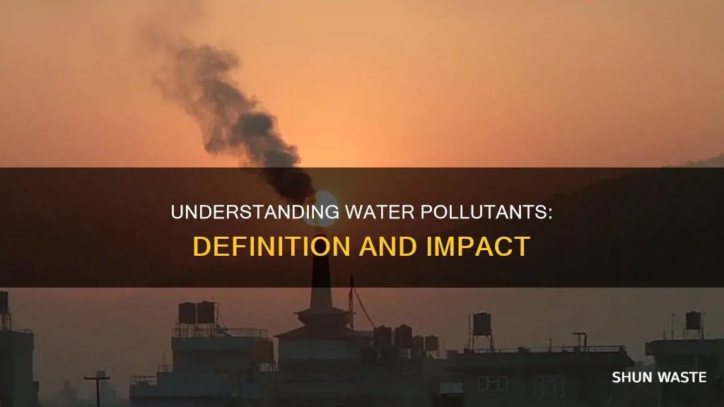 what is meant by water pollutants