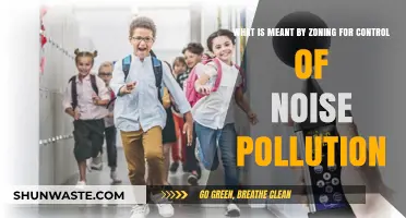 Controlling Noise Pollution Through Strategic Zoning
