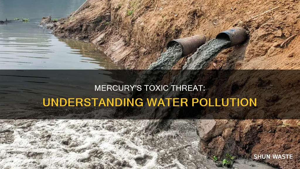 what is mercury pollution of water